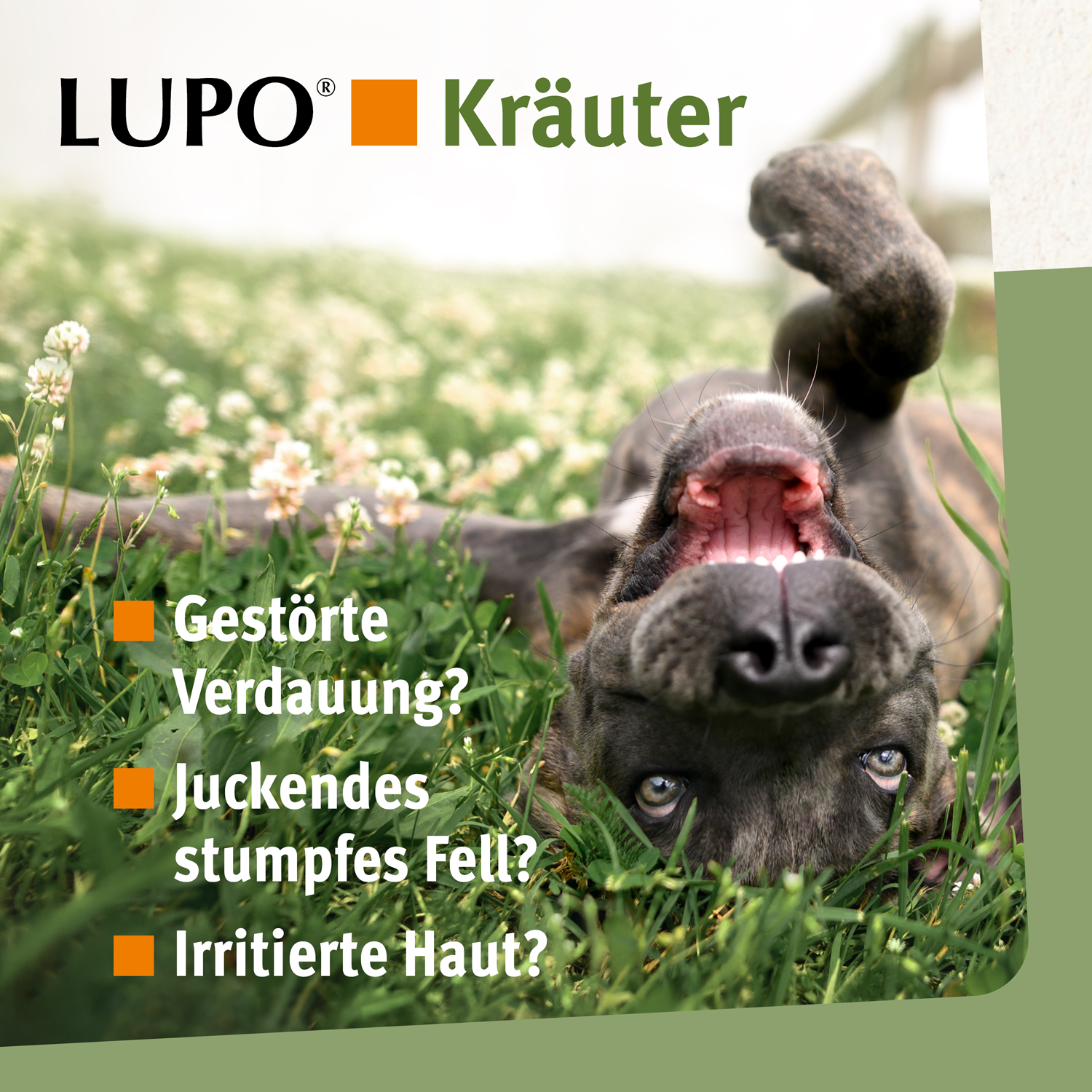 LUPO Kräuter Pellets 675 g